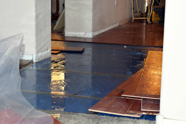 Professional Sewage Cleanup technician working in Round Lake, IL